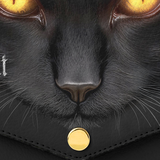 "The Black Cat" Envelope Chain Crossbody Bag - CLEAROUT